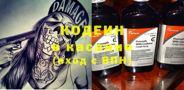 стаф Горняк