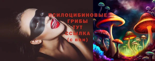 стаф Горняк