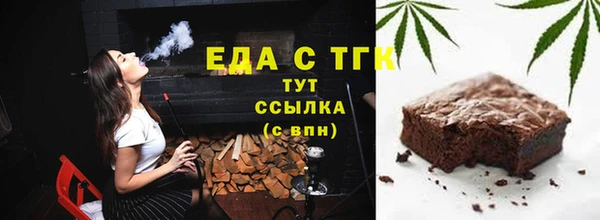 стаф Горняк
