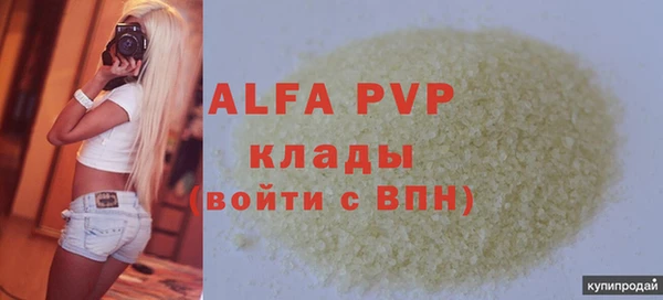 стаф Горняк