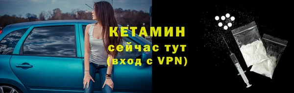 стаф Горняк
