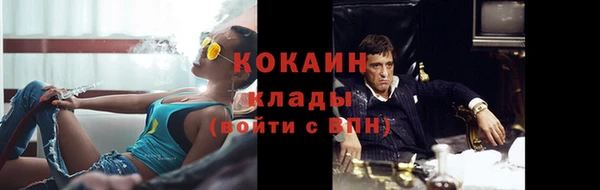 стаф Горняк