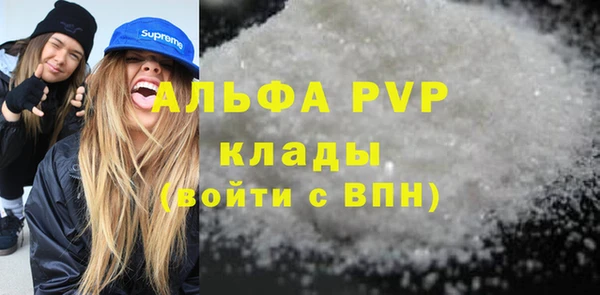 стаф Горняк