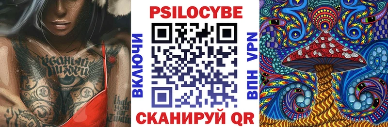 Псилоцибиновые грибы прущие грибы  где продают наркотики  mega   Заволжье 